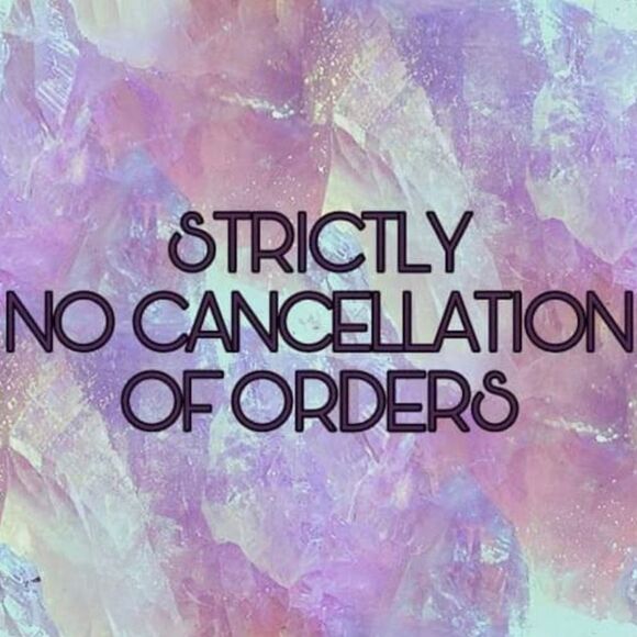 NWOT! Orange Longsleeve Knit Top - Picture 7 of 7